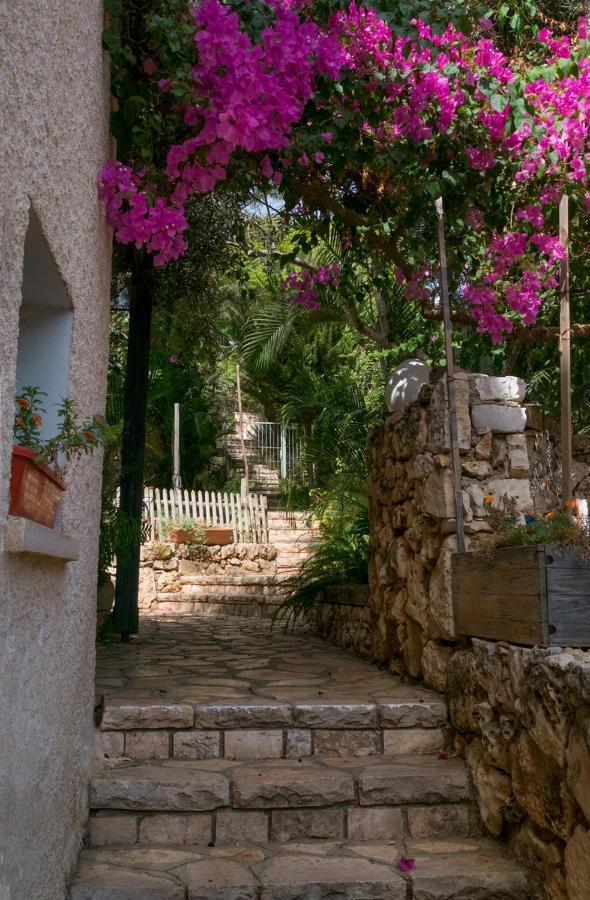 Natural Reserve Apartment Zikhron Ya'akov ภายนอก รูปภาพ