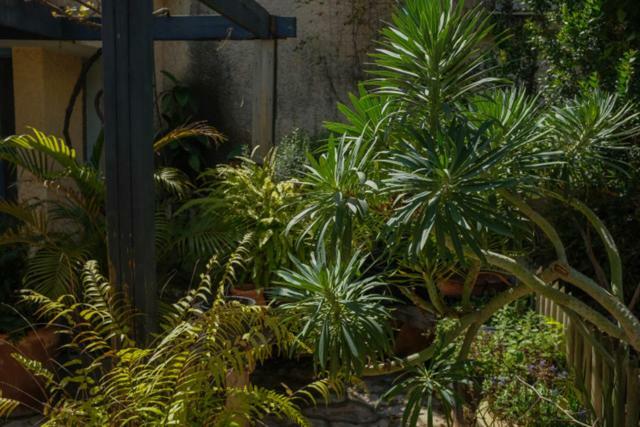 Natural Reserve Apartment Zikhron Ya'akov ภายนอก รูปภาพ